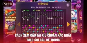 cách xem c?u tài x?u
