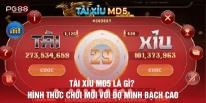 Tài X?u MD5